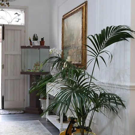 Tam Vacanze Bed and breakfast Cinisi