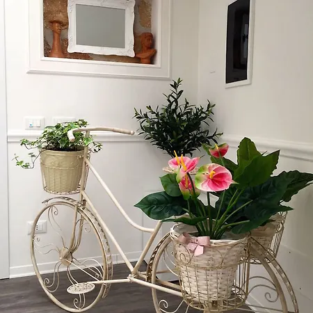 Bed & Breakfast Tam Vacanze Cinisi